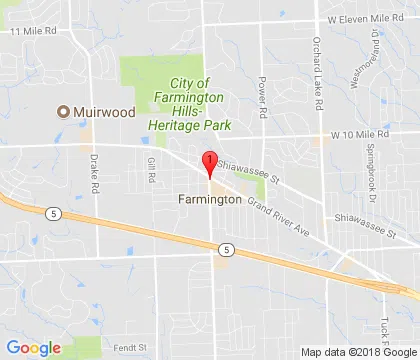 logo-image - farmington-mi